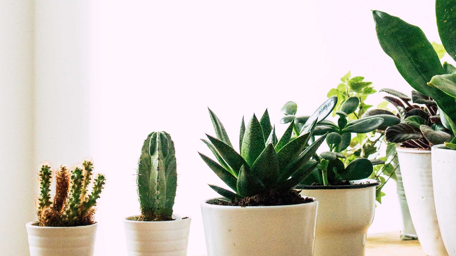 footer background.jpg